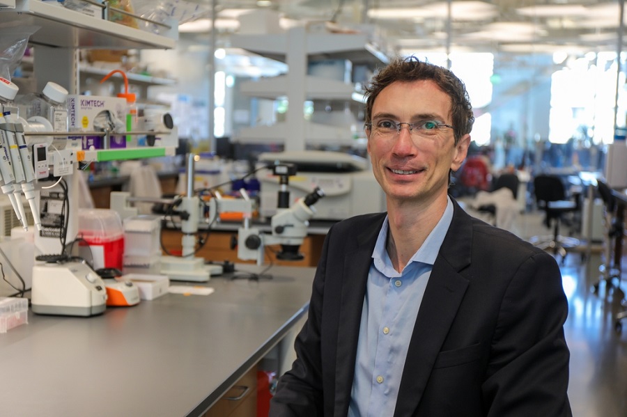Image: Stuart Ibsen, Ph.D., led the team that developed a new technique using an electronic jolt and nanoparticles to reveal the telltale signal of an insidious form of cancer (Photo courtesy of OHSU/Christine Torres Hicks)